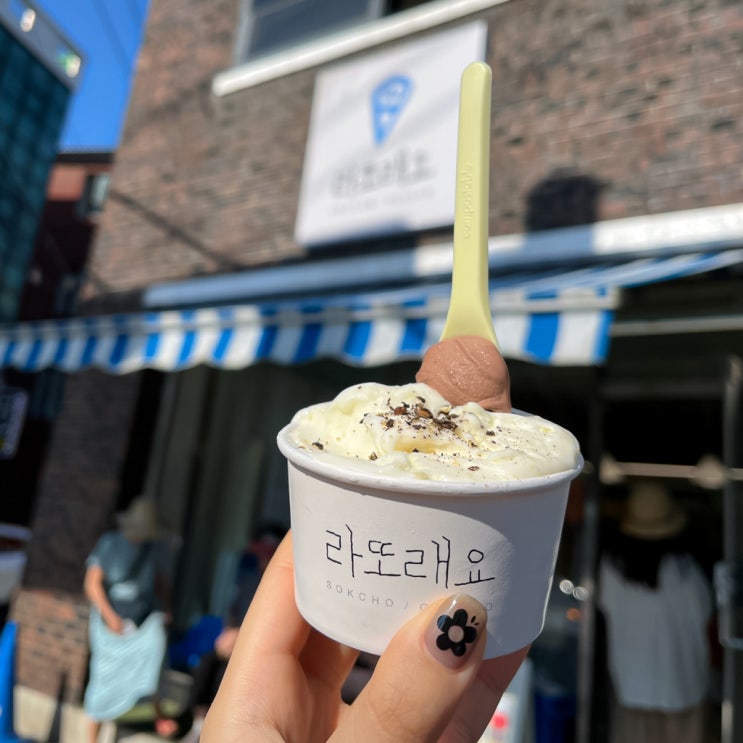  [속초 젤라또] 라또래요 : 감자 쑥 디저트로 즐기기!