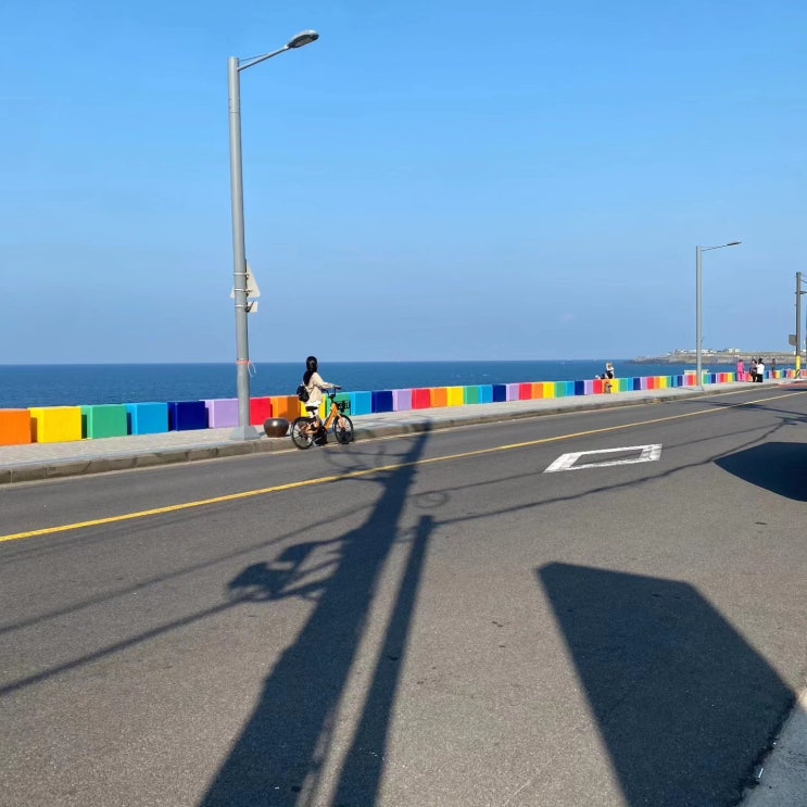  제주도 출장