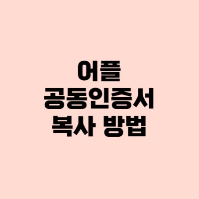  공동인증서 옮기기, 타행 공인인증서 등록 복사 방법
