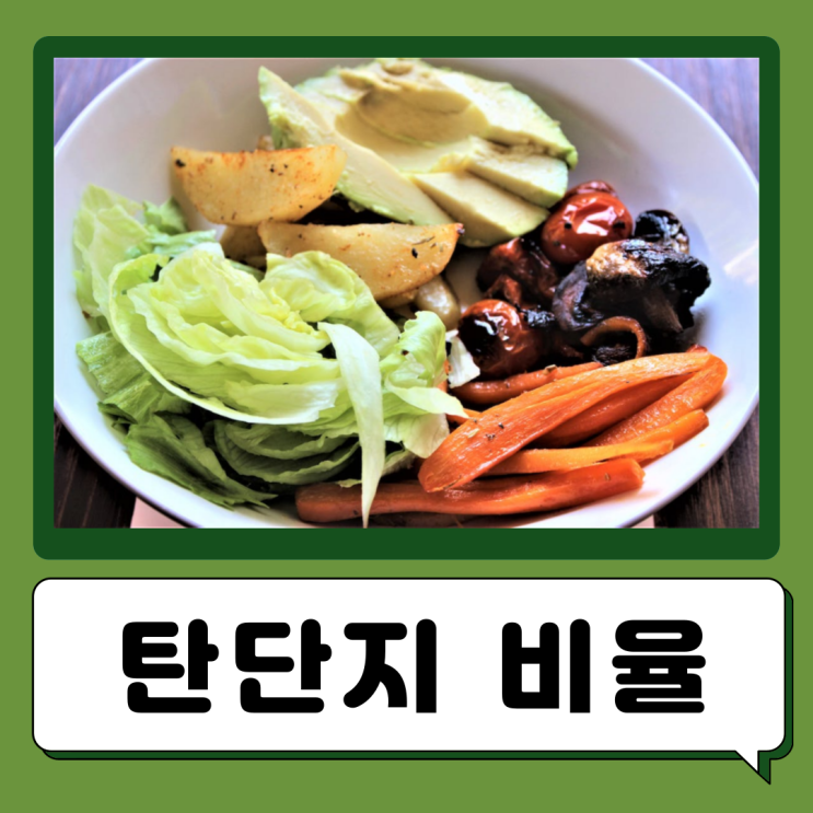  하루 탄수화물 단백질 지방 비율 1g 칼로리 섭취량