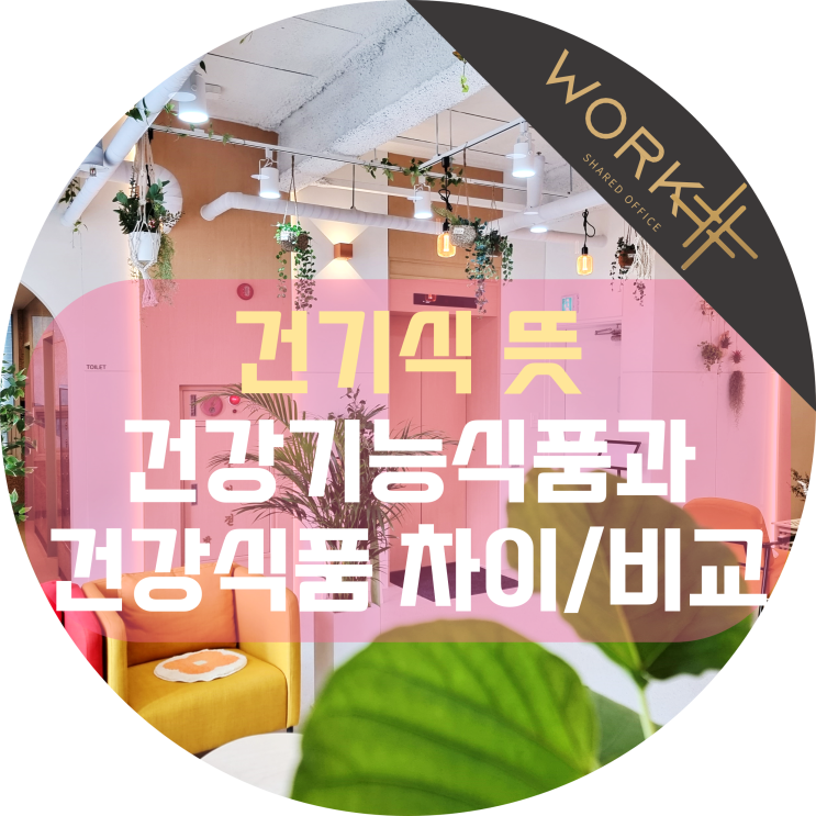  건기식 뜻, 건강기능식품 건강식품 차이 비교 판매 준비까지