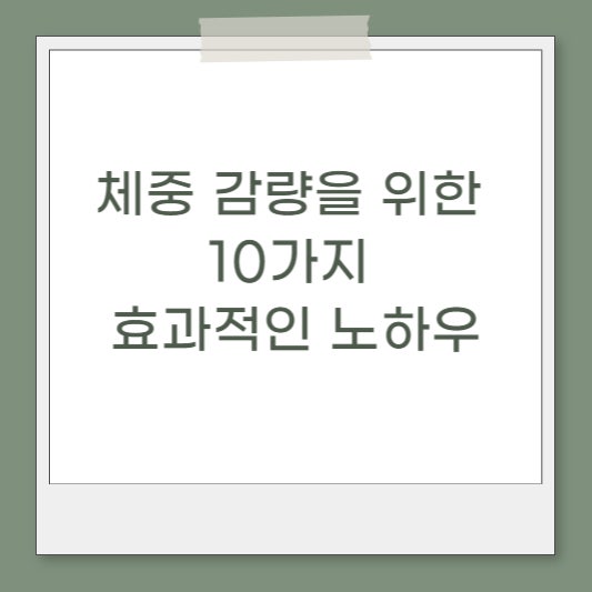 포항지곡 운동맛집 체중 감량을 위한 10가지 효과적인 노하우