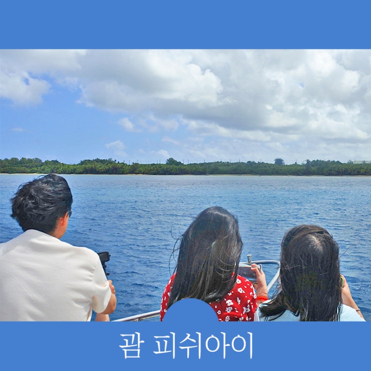  괌 피쉬아이 스노쿨링-돌고래 여행 코스 괌가자고 추천