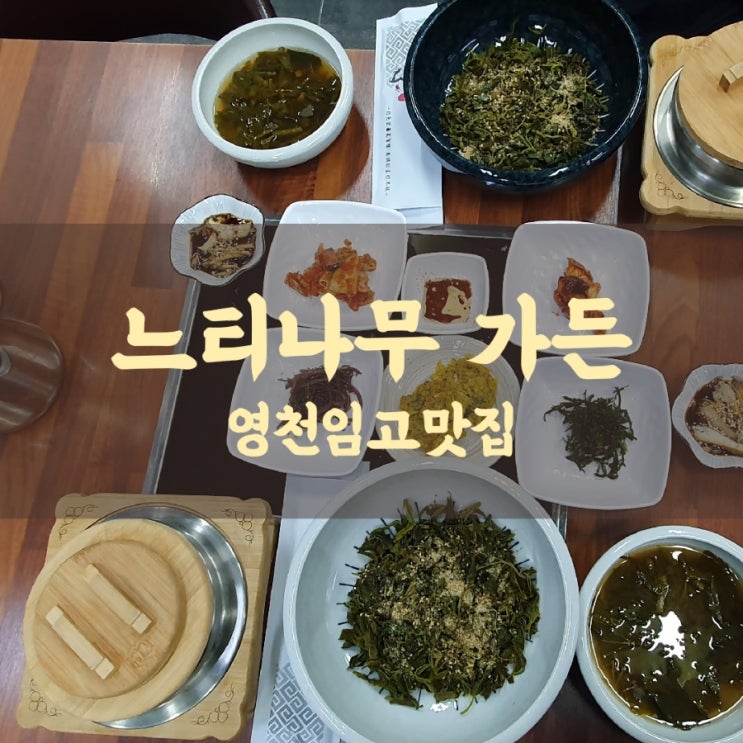 영천 임고 맛집 느티나무 가든 뽕잎 산채비빔밥 먹은 후기