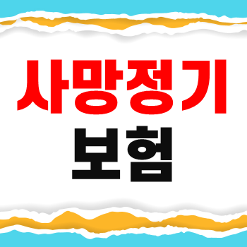  사망정기보험 준비 전 보장범위 확인하고 마련하자