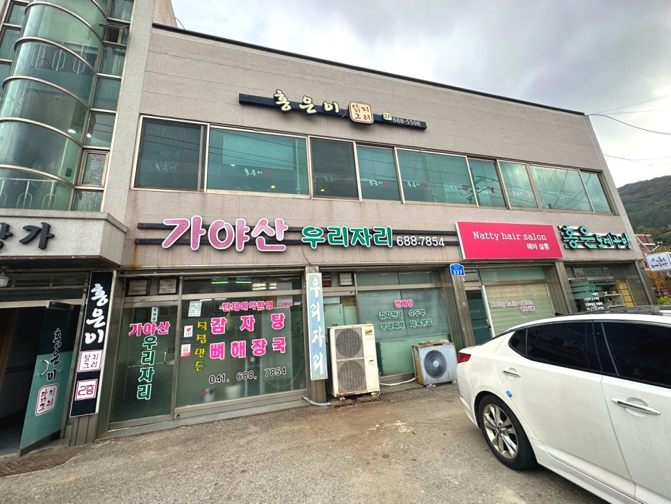 홍은이닭지그리 사진 1