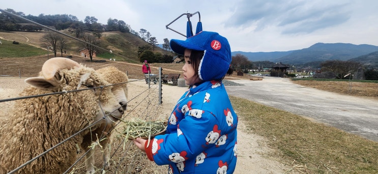 전남 구례 지리산 화엄사 맛집 산나물밥상