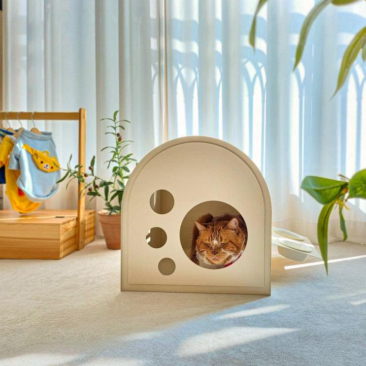  고양이 숨숨집 추천 모코아 바닐라 펫 하우스 포근한 쿠션 포함