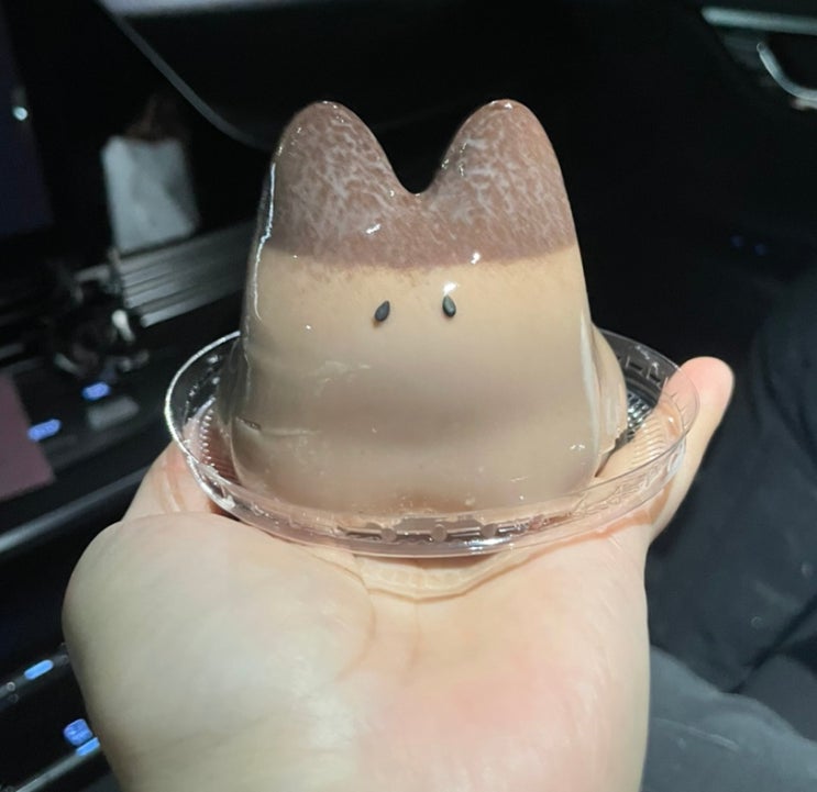  천안쌍용동 버터집 푸딩맛집, 토끼푸딩 귀여워서 기절_내돈내산