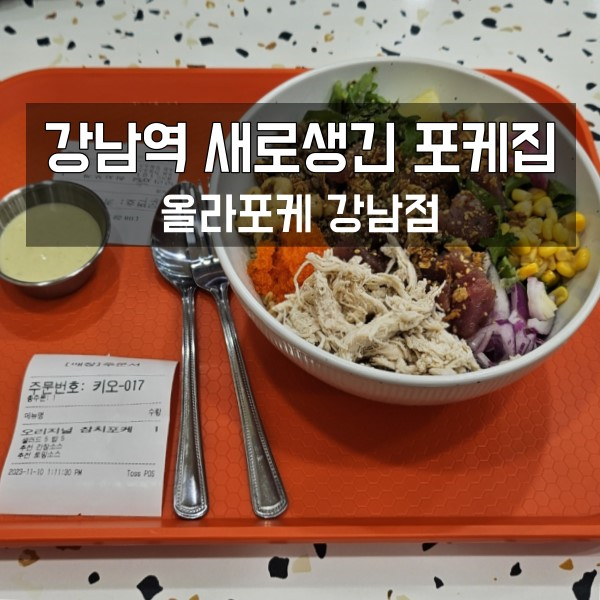  새로생긴 강남역 포케 맛집 올라포케