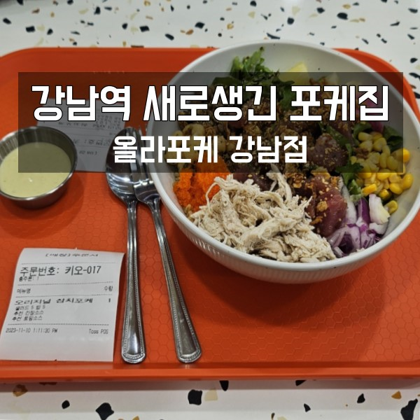 새로생긴 강남역 포케 맛집 올라포케