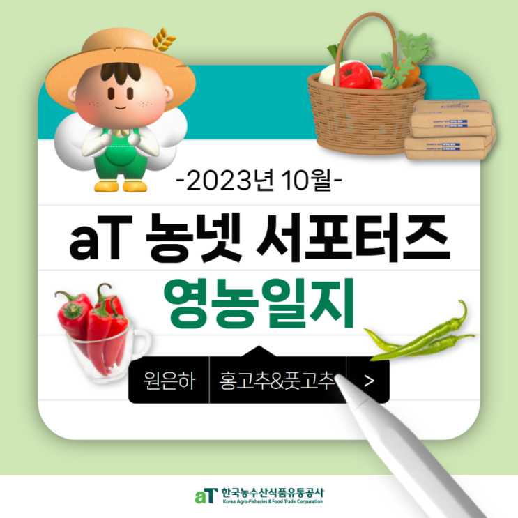  aT 농넷 서포터즈 연천해피팜 10월 고추농사 영농일지