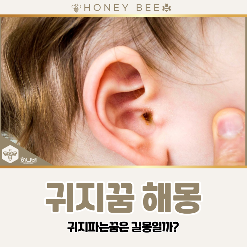 귀지꿈 해몽, 귀지파는꿈 길몽일까?