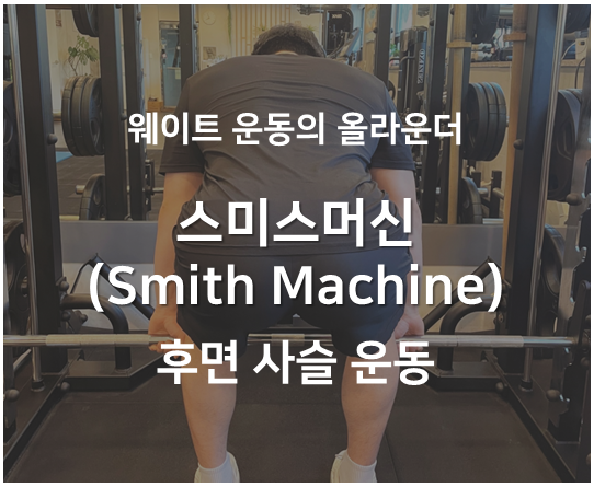 스미스 머신 등운동 데드리프트 바벨로우 후면사슬운동 루마니안 데드리프트