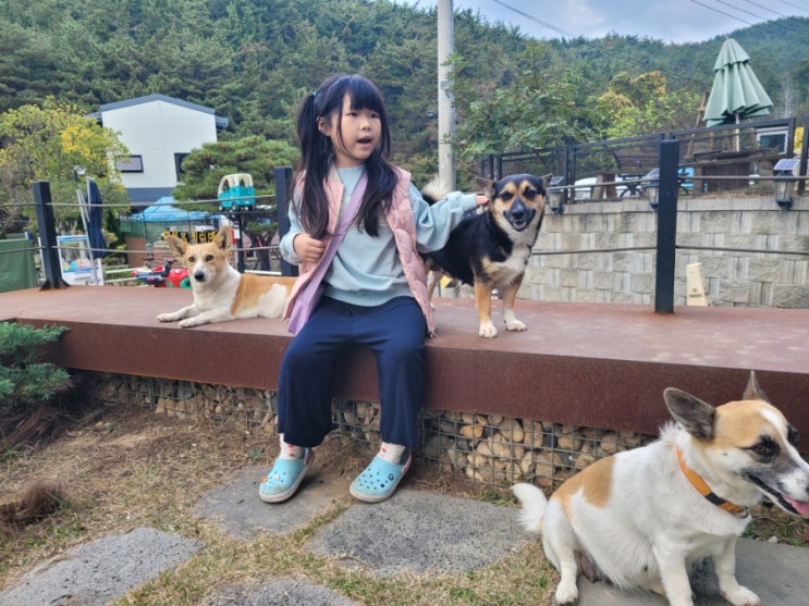  마산 아이들과 가볼만한곳 구산면 카페쿠 작은동물원 동물친구들
