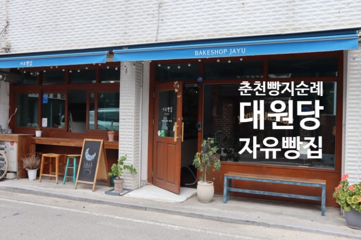  춘천 빵지순례 오랜 역사의 대원당과 핫한 자유빵집 리뷰