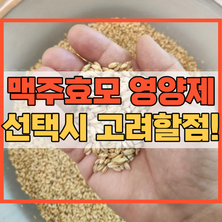  맥주효모 영양제 국내 제조 독일 미국 효모 제품 장단점!
