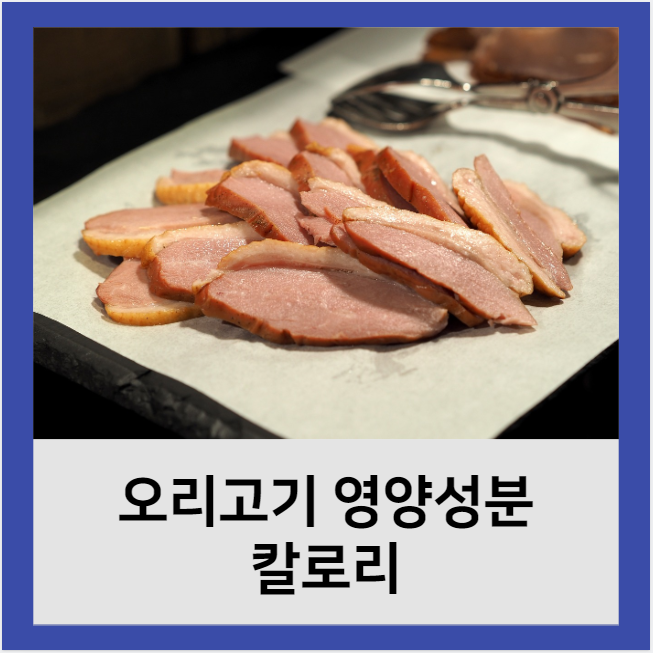 불포화지방이 많은 오리고기의 영양성분, 칼로리 알아보기