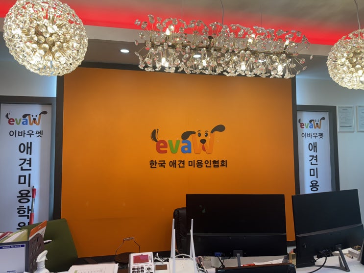  수원애견미용학원 자격증 취득 후 취업까지