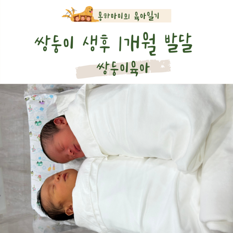  쌍둥이육아 생후1개월 발달 수유텀