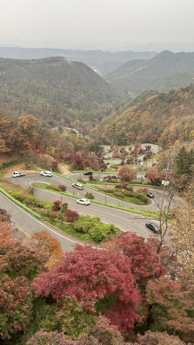  가을 단풍 시기, 보은 한 바퀴