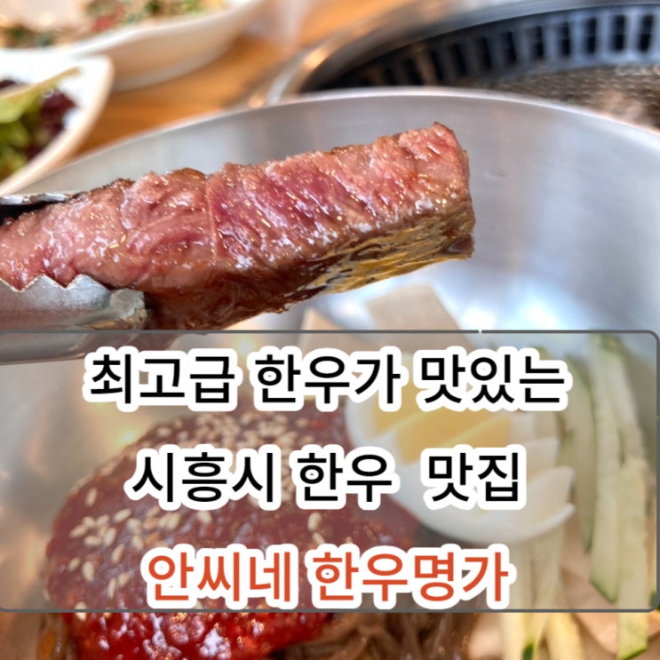  물왕저수지 맛집 ! 부드러운 투쁠 한우가 맛있는 [안씨네 한우명가] 내돈내산 후기
