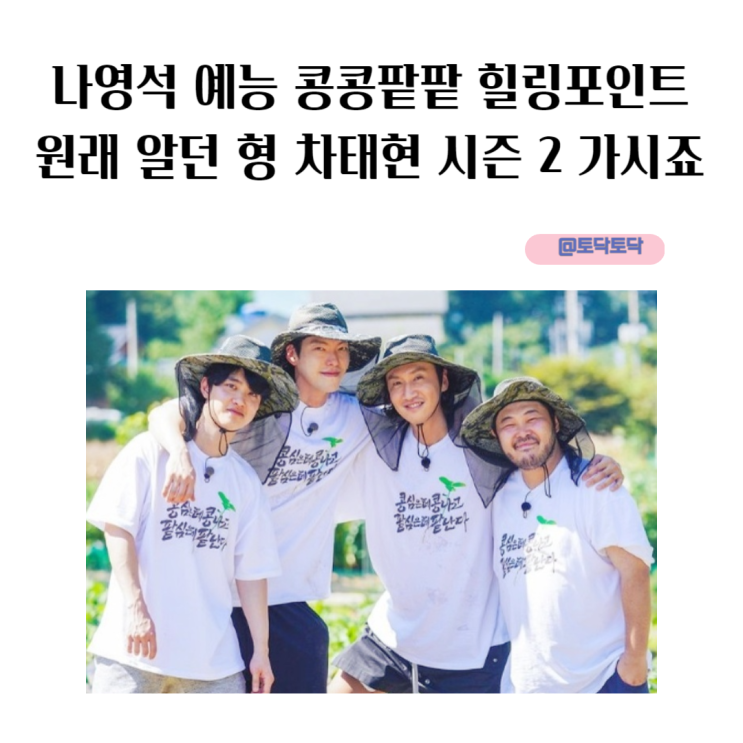 나영석 예능 콩콩팥팥 힐링 포인트 원래 알던 형 차태현 시즌 2 가시죠 나영석 예능 콩콩팥팥 힐링 포인트 원래 알던 형 차태현 시즌 2 가시죠