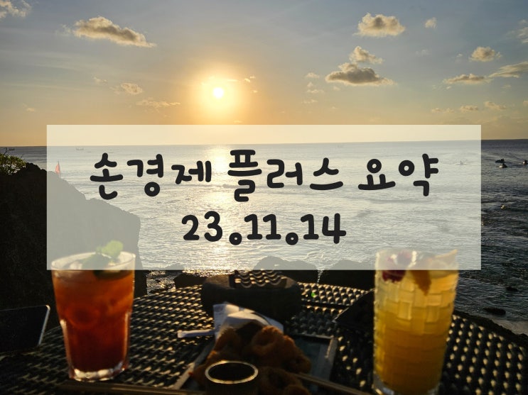  오픈 AI 활용과 삼성전자의 온디바이스 AI 출시  / 한국 가발 산업의 성장