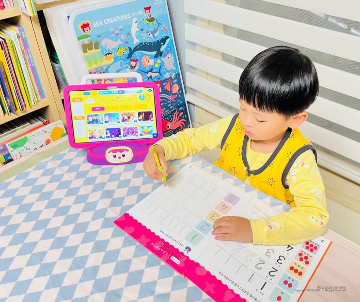 5세 숫자공부 유아수학 놀이학습 슈퍼브이 가격 6개월 후기 5세 숫자공부 유아수학 놀이학습 슈퍼브이 가격 6개월 후기