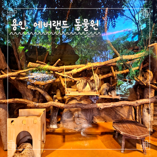  수도권 여행지 용인 에버랜드 동물원 주토피아 호랑이 원숭이 펭귄 친구들