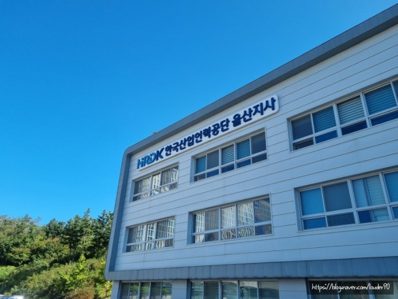 [지게차운전기능사 필기/실기 합격 후기 (feat.울산중장비직업전문학교)]