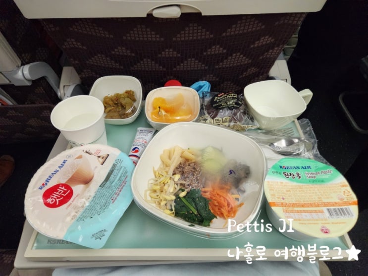  귀국 마지막 : 로스앤젤레스 -> 서울 대한항공