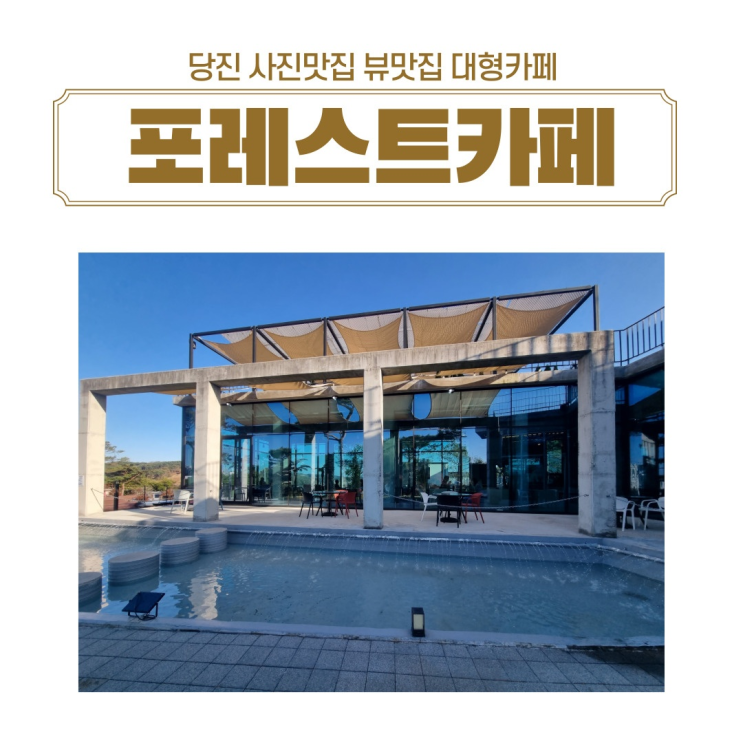  사진 맛집 뷰맛집 당진신상카페 당진달카페  당진포레스트 방문후기