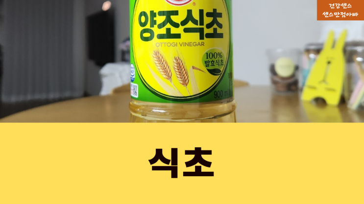  혈당조절 고지혈증 당뇨 여드름(세안) 좋은 발효식품 식초 성분 효능