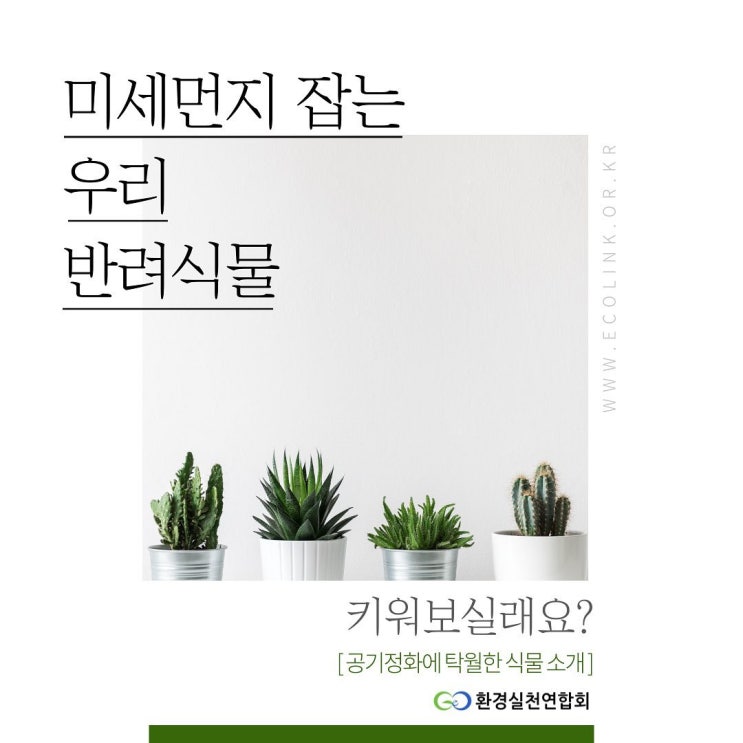  미세먼지 잡는 반려식물!