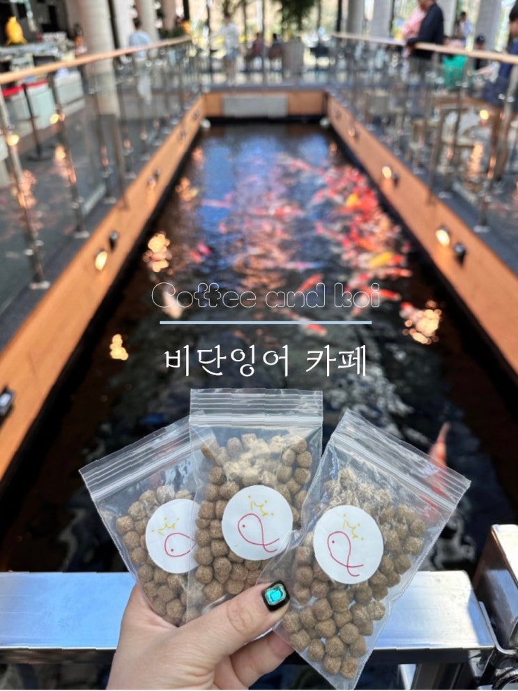  장유 물고기 카페 커피앤더코이 8천만원짜리 잉어가 있어요