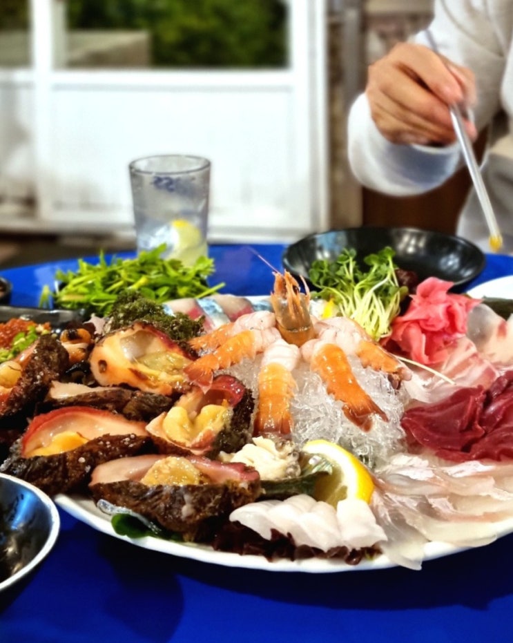  제주 현지인 맛집 고등어회 맛있는 함덕 노포 횟집 백록집