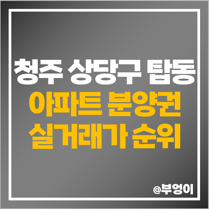 청주 탑동 아파트 분양권 매매 가격 탑동 센트럴 힐데스하임 시세 청주 탑동 아파트 분양권 매매 가격 탑동 센트럴 힐데스하임 시세