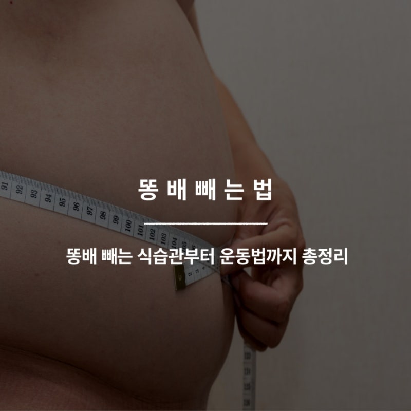 똥배빼는법 똥배 빼는 식습관부터 운동법까지 총정리
