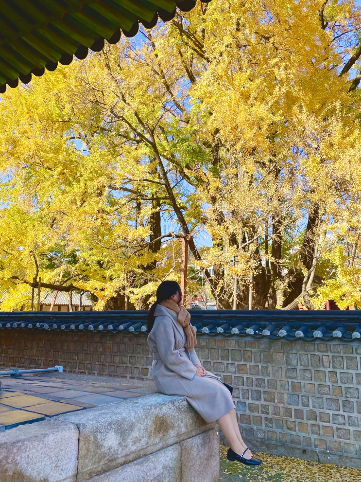  가 을 