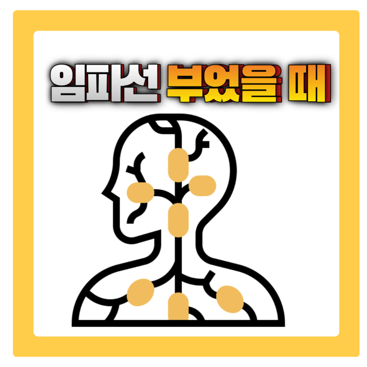  임파선 부었을 때 대처법 및 원인