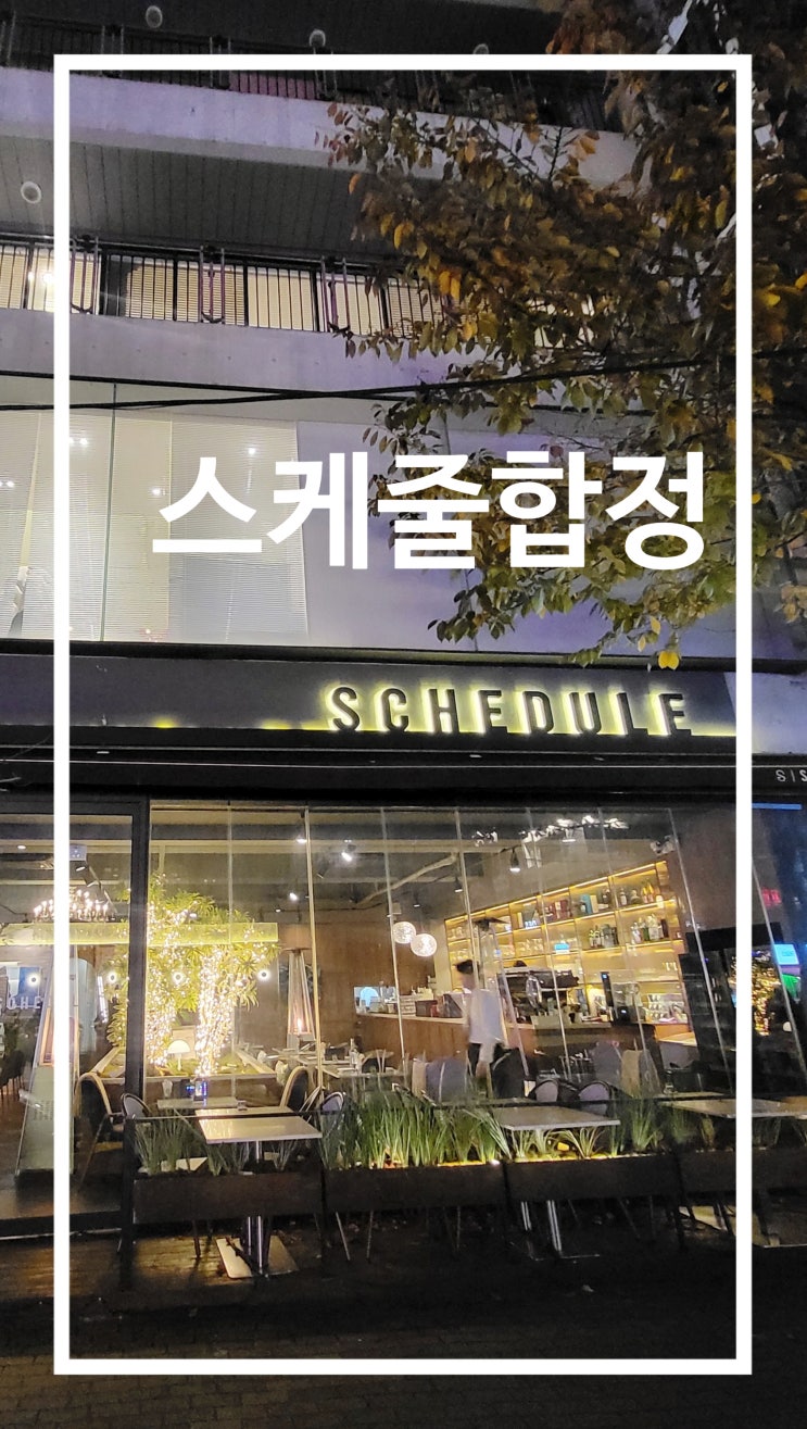  분위기 끝판왕 합정 맛집 스케줄 합정 데이트코스 내돈내산
