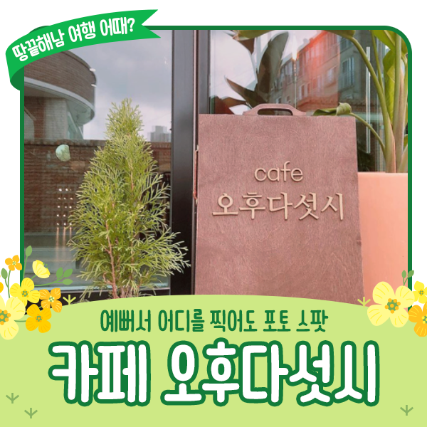 오후다섯시 사진 1