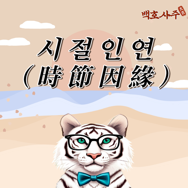  시절 인연을 기다리며 배우는 인생의 가치