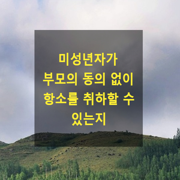  형사 재판에서 미성년자가 부모의 동의 없이 항소를 취하할 수 있는지