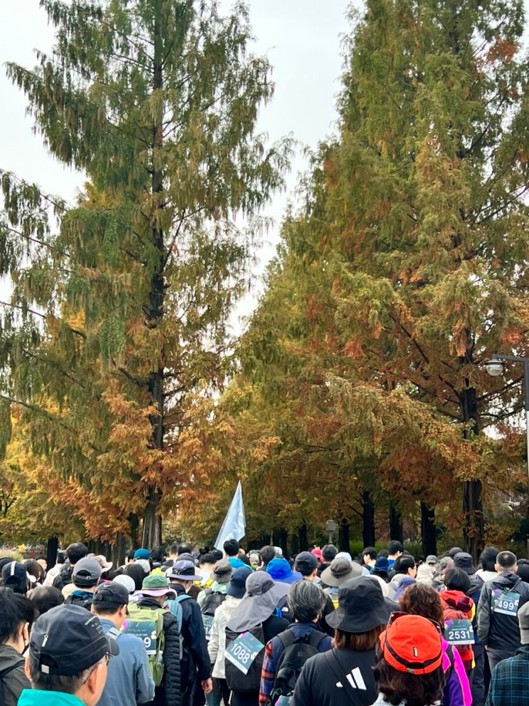  고양 바람누리길 걷기 축제(하지만 우리에겐 평화누리길 걷기라고...)