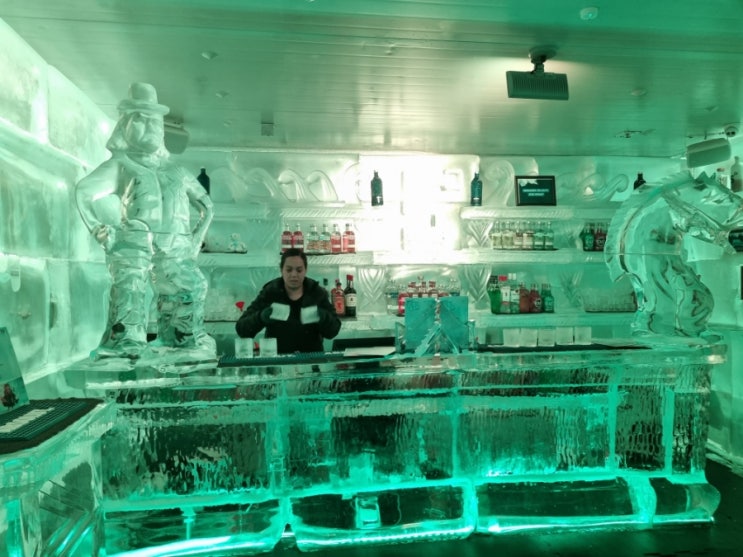 (188) 퀸스타운 이색 술집 아이스바 Minus 5 Ice Bar