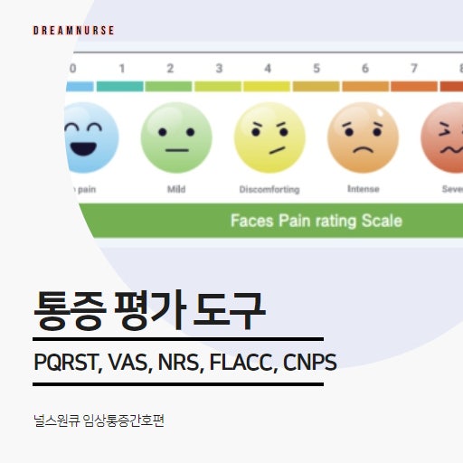 통증 평가 도구ㅣPQRST, VAS NRS, VRS, FLACC, CNPS : 네이버 블로그