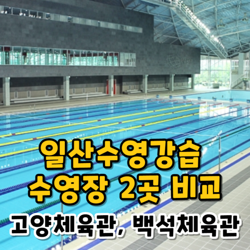 일산수영장 2곳 비교 :: 고양체육관 수영장, 백석체육관 할인, 비용, 주차장 정보