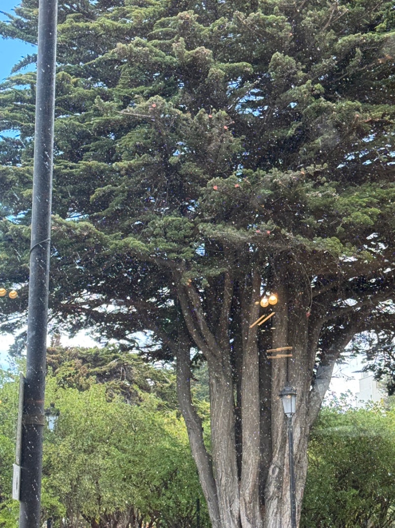 5. 남극세종과학기지 출장기록 (Mon-Sat. 3w): 부제- 무한대기, 언제까지? : 네이버 블로그